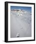 Polar Bear Track, Billefjord, Svalbard, Spitzbergen, Arctic, Norway, Scandinavia, Europe-Milse Thorsten-Framed Photographic Print