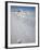 Polar Bear Track, Billefjord, Svalbard, Spitzbergen, Arctic, Norway, Scandinavia, Europe-Milse Thorsten-Framed Photographic Print