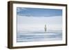 Polar Bear Travels Along Sea Ice, Spitsbergen, Svalbard, Norway-Steve Kazlowski-Framed Photographic Print