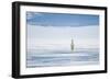 Polar Bear Travels Along Sea Ice, Spitsbergen, Svalbard, Norway-Steve Kazlowski-Framed Photographic Print