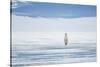 Polar Bear Travels Along Sea Ice, Spitsbergen, Svalbard, Norway-Steve Kazlowski-Stretched Canvas