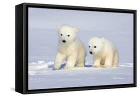 Polar Bear Twins-Howard Ruby-Framed Stretched Canvas