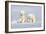 Polar Bear Twins-Howard Ruby-Framed Premium Photographic Print