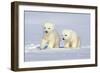 Polar Bear Twins-Howard Ruby-Framed Photographic Print