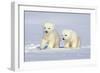 Polar Bear Twins-Howard Ruby-Framed Photographic Print