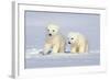 Polar Bear Twins-Howard Ruby-Framed Photographic Print