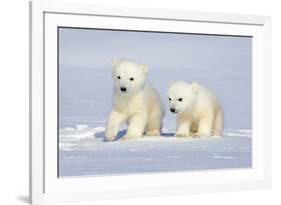 Polar Bear Twins-Howard Ruby-Framed Photographic Print