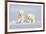 Polar Bear Twins-Howard Ruby-Framed Photographic Print