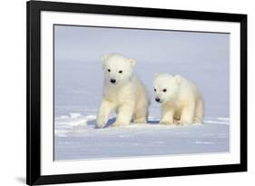 Polar Bear Twins-Howard Ruby-Framed Photographic Print