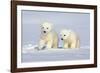 Polar Bear Twins-Howard Ruby-Framed Photographic Print