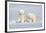 Polar Bear Twins-Howard Ruby-Framed Photographic Print