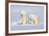 Polar Bear Twins-Howard Ruby-Framed Photographic Print