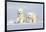 Polar Bear Twins-Howard Ruby-Framed Photographic Print