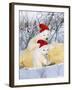 Polar Bear Two Cubs Wearing Christmas Hats-null-Framed Photographic Print