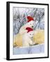 Polar Bear Two Cubs Wearing Christmas Hats-null-Framed Photographic Print