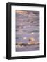 Polar Bear (Ursus maritimus) adult, sleeping on icefloe at sunset, Erik Eriksenstretet, Svalbard-Bernd Rohrschneider-Framed Photographic Print