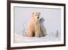 Polar Bear (Ursus Maritimus) and Cub, Wapusk National Park, Churchill, Hudson Bay, Manitoba, Canada-David Jenkins-Framed Photographic Print