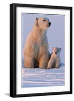 Polar Bear (Ursus Maritimus) and Cub, Wapusk National Park, Churchill, Hudson Bay, Manitoba, Canada-David Jenkins-Framed Photographic Print