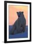 Polar Bear (Ursus Maritimus) and Cub, Wapusk National Park, Churchill, Hudson Bay, Manitoba, Canada-David Jenkins-Framed Photographic Print