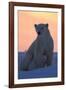 Polar Bear (Ursus Maritimus) and Cub, Wapusk National Park, Churchill, Hudson Bay, Manitoba, Canada-David Jenkins-Framed Photographic Print