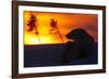 Polar Bear (Ursus Maritimus) and Cub, Wapusk National Park, Churchill, Hudson Bay, Manitoba, Canada-David Jenkins-Framed Photographic Print