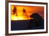 Polar Bear (Ursus Maritimus) and Cub, Wapusk National Park, Churchill, Hudson Bay, Manitoba, Canada-David Jenkins-Framed Photographic Print