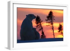 Polar Bear (Ursus Maritimus) and Cub, Wapusk National Park, Churchill, Hudson Bay, Manitoba, Canada-David Jenkins-Framed Photographic Print