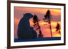 Polar Bear (Ursus Maritimus) and Cub, Wapusk National Park, Churchill, Hudson Bay, Manitoba, Canada-David Jenkins-Framed Photographic Print