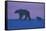 Polar Bear (Ursus Maritimus) and Cub, Wapusk National Park, Churchill, Hudson Bay, Manitoba, Canada-David Jenkins-Framed Stretched Canvas