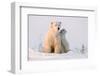 Polar Bear (Ursus Maritimus) and Cub, Wapusk National Park, Churchill, Hudson Bay, Manitoba, Canada-David Jenkins-Framed Photographic Print