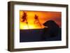 Polar Bear (Ursus Maritimus) and Cub, Wapusk National Park, Churchill, Hudson Bay, Manitoba, Canada-David Jenkins-Framed Photographic Print