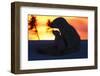 Polar Bear (Ursus Maritimus) and Cub, Wapusk National Park, Churchill, Hudson Bay, Manitoba, Canada-David Jenkins-Framed Photographic Print