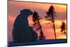 Polar Bear (Ursus Maritimus) and Cub, Wapusk National Park, Churchill, Hudson Bay, Manitoba, Canada-David Jenkins-Mounted Premium Photographic Print