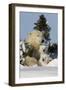 Polar Bear (Ursus Maritimus) and Cubs, Wapusk National Park, Churchill, Hudson Bay, Canada-David Jenkins-Framed Premium Photographic Print