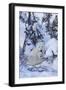 Polar Bear (Ursus Maritimus) and Cubs-David Jenkins-Framed Photographic Print