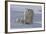 Polar Bear (Ursus Maritimus) and Cubs-David Jenkins-Framed Photographic Print