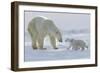 Polar Bear (Ursus Maritimus) and Cubs-David Jenkins-Framed Photographic Print