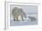 Polar Bear (Ursus Maritimus) and Cubs-David Jenkins-Framed Photographic Print