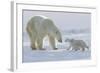 Polar Bear (Ursus Maritimus) and Cubs-David Jenkins-Framed Photographic Print