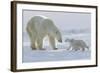 Polar Bear (Ursus Maritimus) and Cubs-David Jenkins-Framed Photographic Print