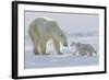 Polar Bear (Ursus Maritimus) and Cubs-David Jenkins-Framed Photographic Print