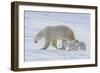 Polar Bear (Ursus Maritimus) and Cubs-David Jenkins-Framed Photographic Print