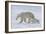 Polar Bear (Ursus Maritimus) and Cubs-David Jenkins-Framed Photographic Print