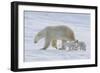 Polar Bear (Ursus Maritimus) and Cubs-David Jenkins-Framed Photographic Print