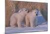 Polar Bear (Ursus Maritimus) and Cubs-David Jenkins-Mounted Photographic Print