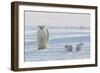 Polar Bear (Ursus Maritimus) and Cubs-David Jenkins-Framed Photographic Print