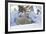 Polar Bear (Ursus Maritimus) and Cubs-David Jenkins-Framed Photographic Print