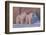 Polar Bear (Ursus Maritimus) and Cubs-David Jenkins-Framed Photographic Print