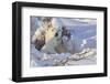 Polar Bear (Ursus Maritimus) and Cubs-David Jenkins-Framed Photographic Print