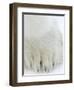 Polar Bear (Ursus Maritimus), Churchill, Hudson Bay, Manitoba, Canada-Thorsten Milse-Framed Photographic Print